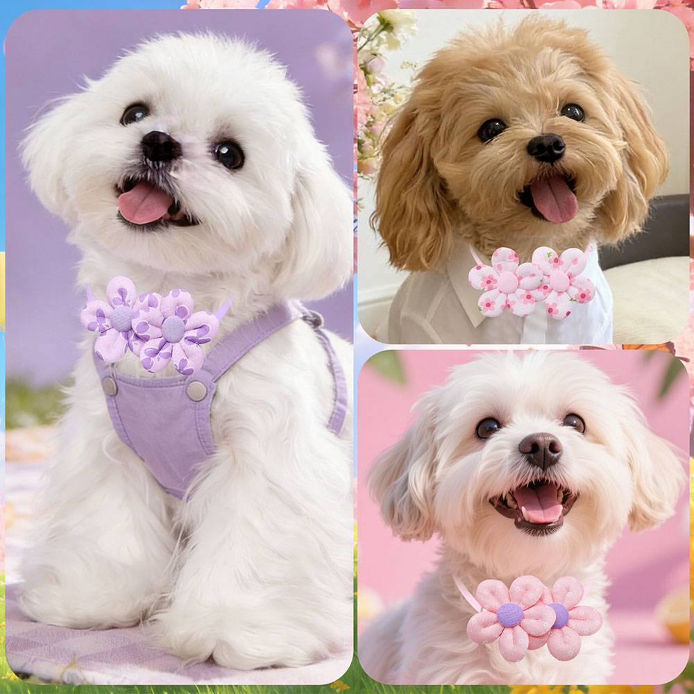 10PCS Flower Shape Sweet Dog B - Pet Supplies Coupon avis et prix