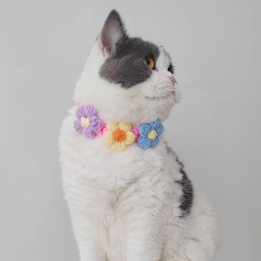 Pet Collar Cat Knitting Collar - Pet Supplies Coupon avis et prix