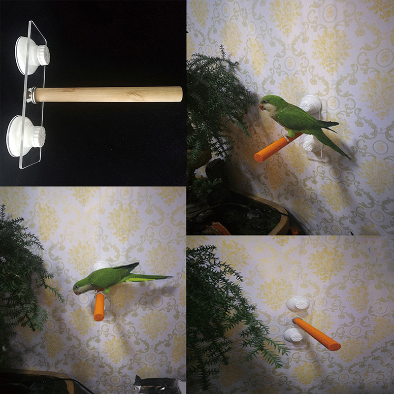 Parrot Pet Raw Standing Stick  - Pet X Supplies & Tack Howell avis et prix