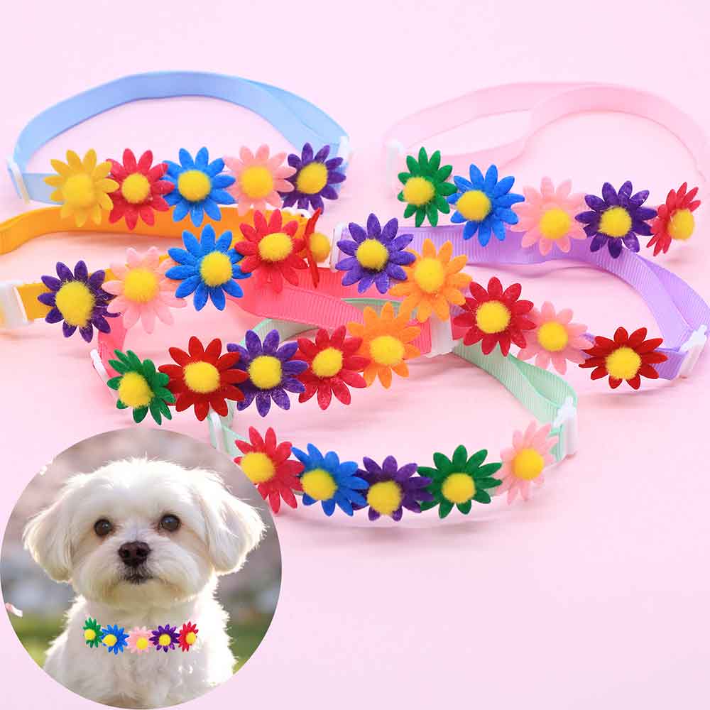 50PCS Colorful Dog Bowties Flo - Pet Supplies Coupon avis et prix