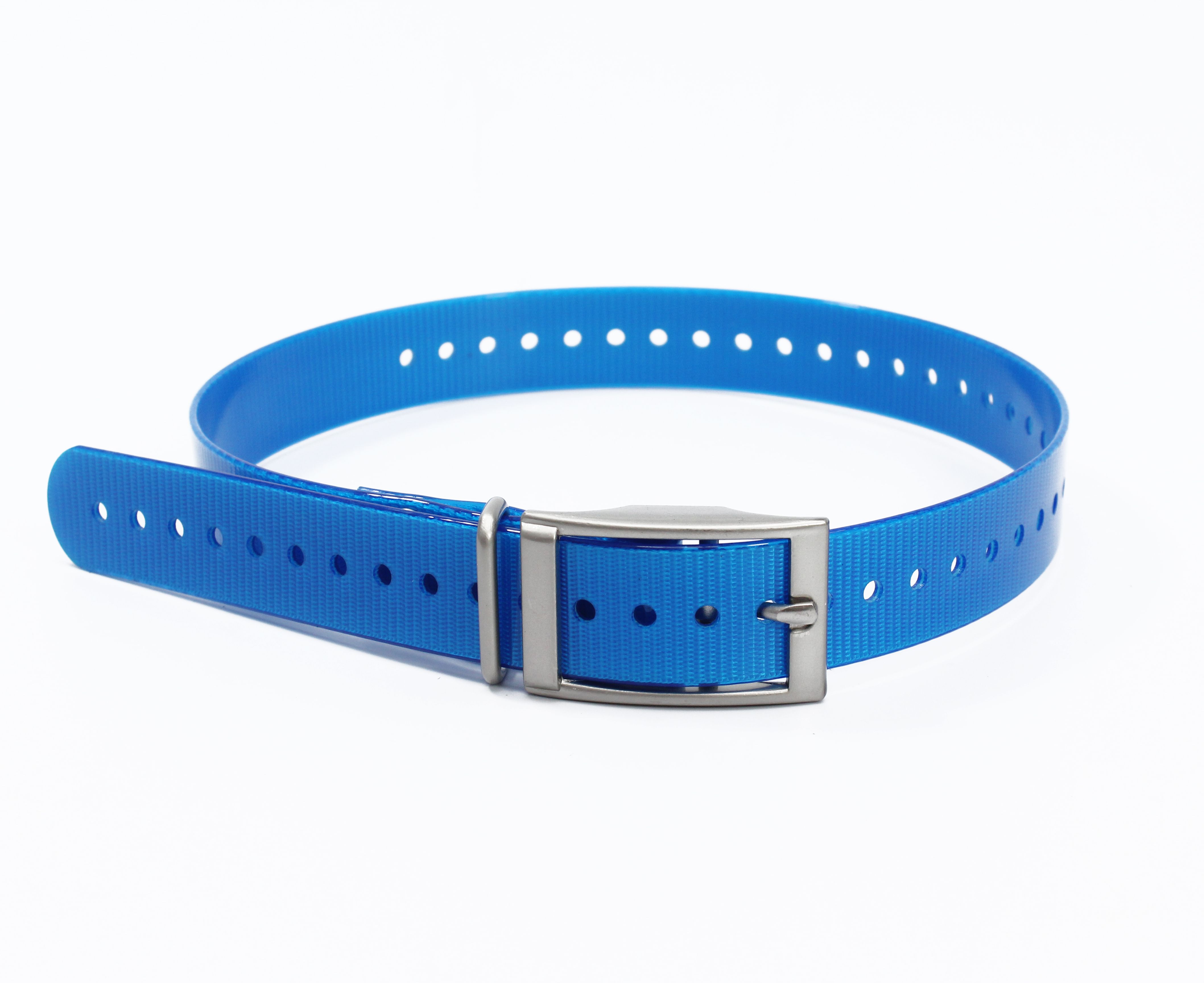 Nylon Dog Collar Adjustable  P - Pet Supplies Coupon avis et prix