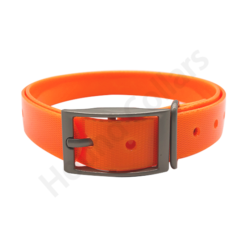 Nylon Dog Collar Adjustable  P - Pet Supplies Coupon avis et prix