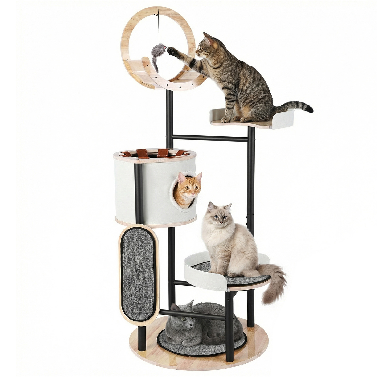 66-Inch Cat Tree with Scratchi - Pet X Supplies & Tack Howell avis et prix