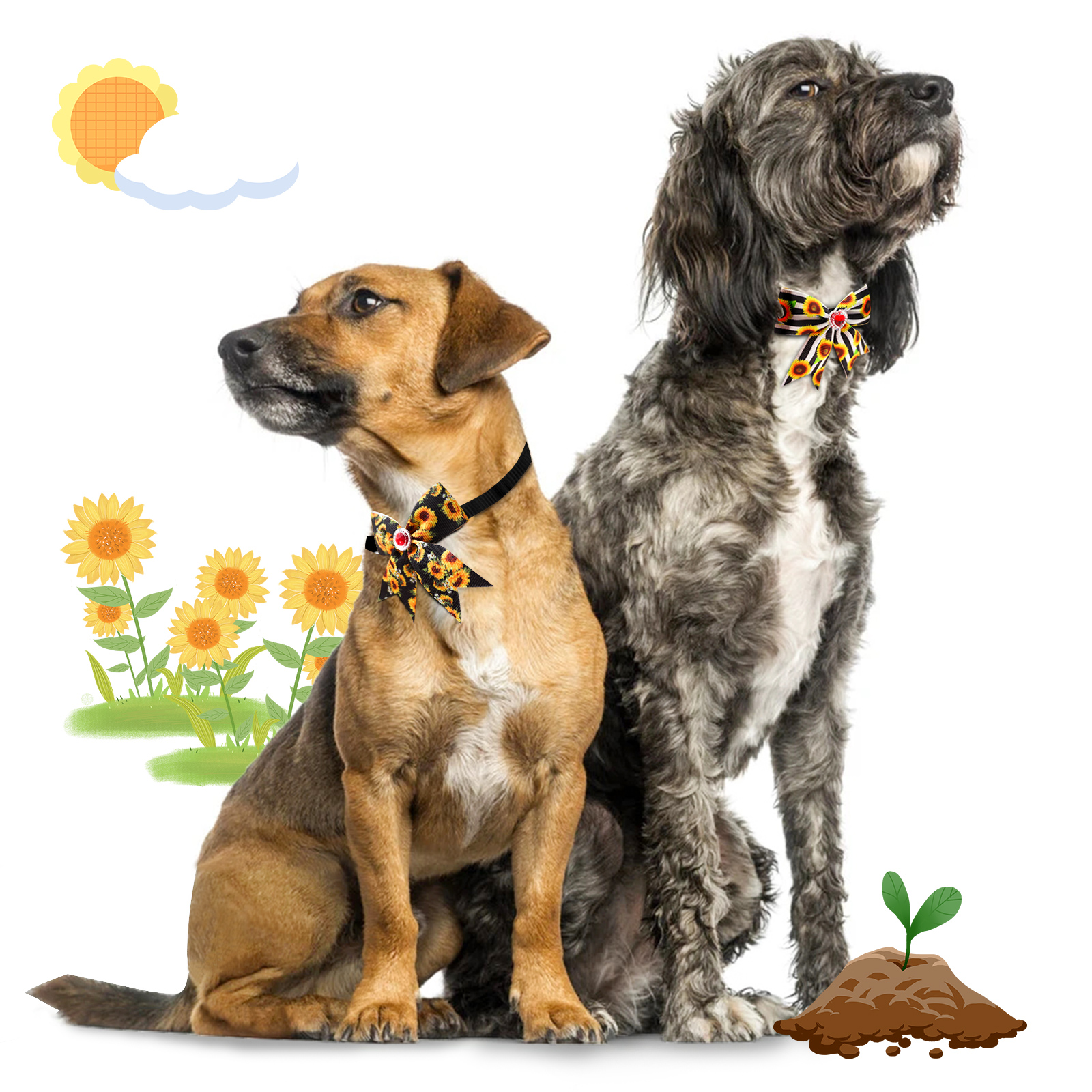 50/100pcs  Dog Grooming  Small - Pet Supplies Coupon avis et prix