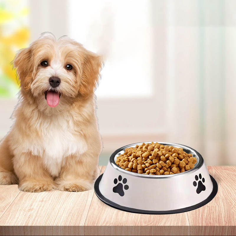 Stainless steel large capacity - Pet Supplies Coupon avis et prix