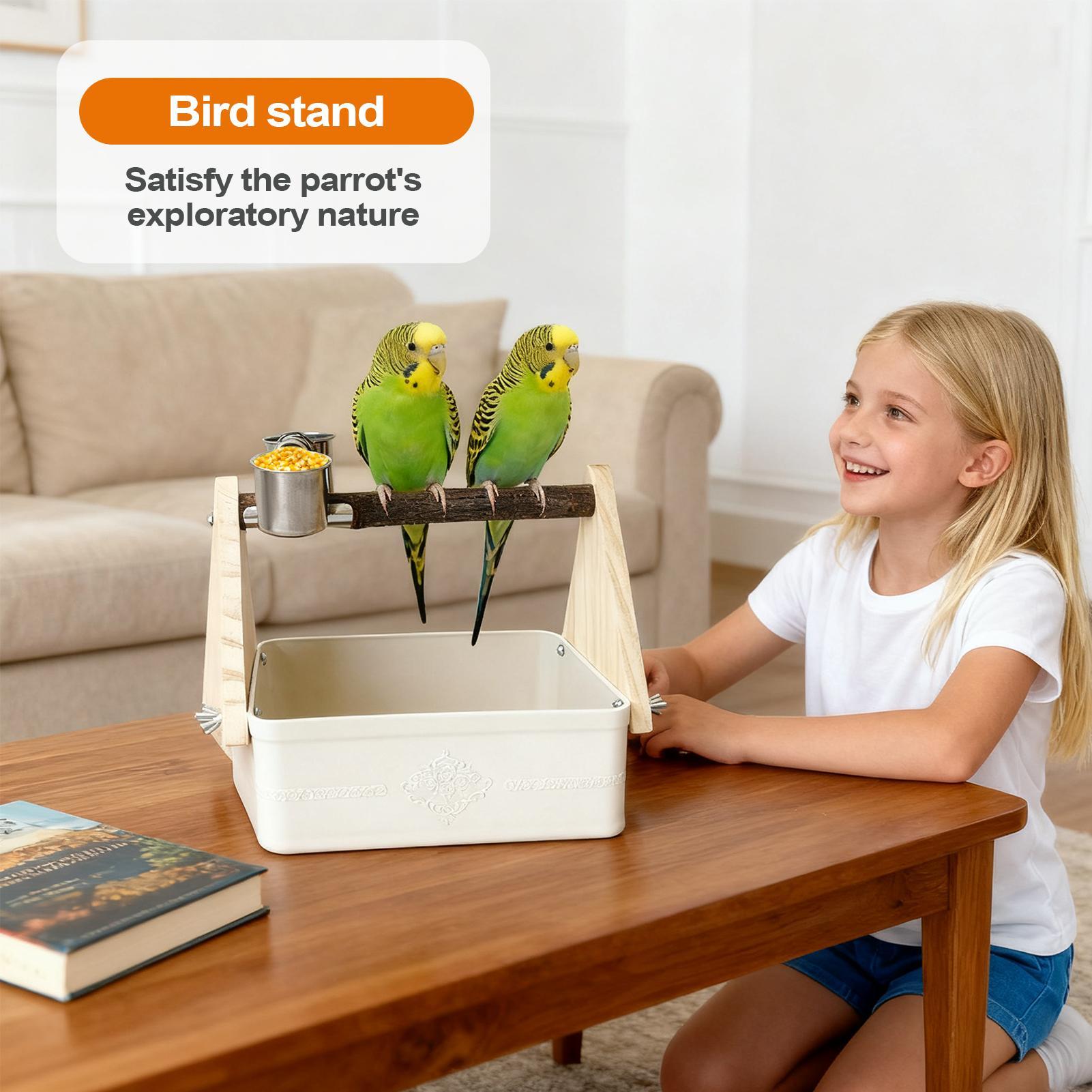 Bird Tabletop Perch Lovebirds  - Pet Supplies Zoo avis et prix