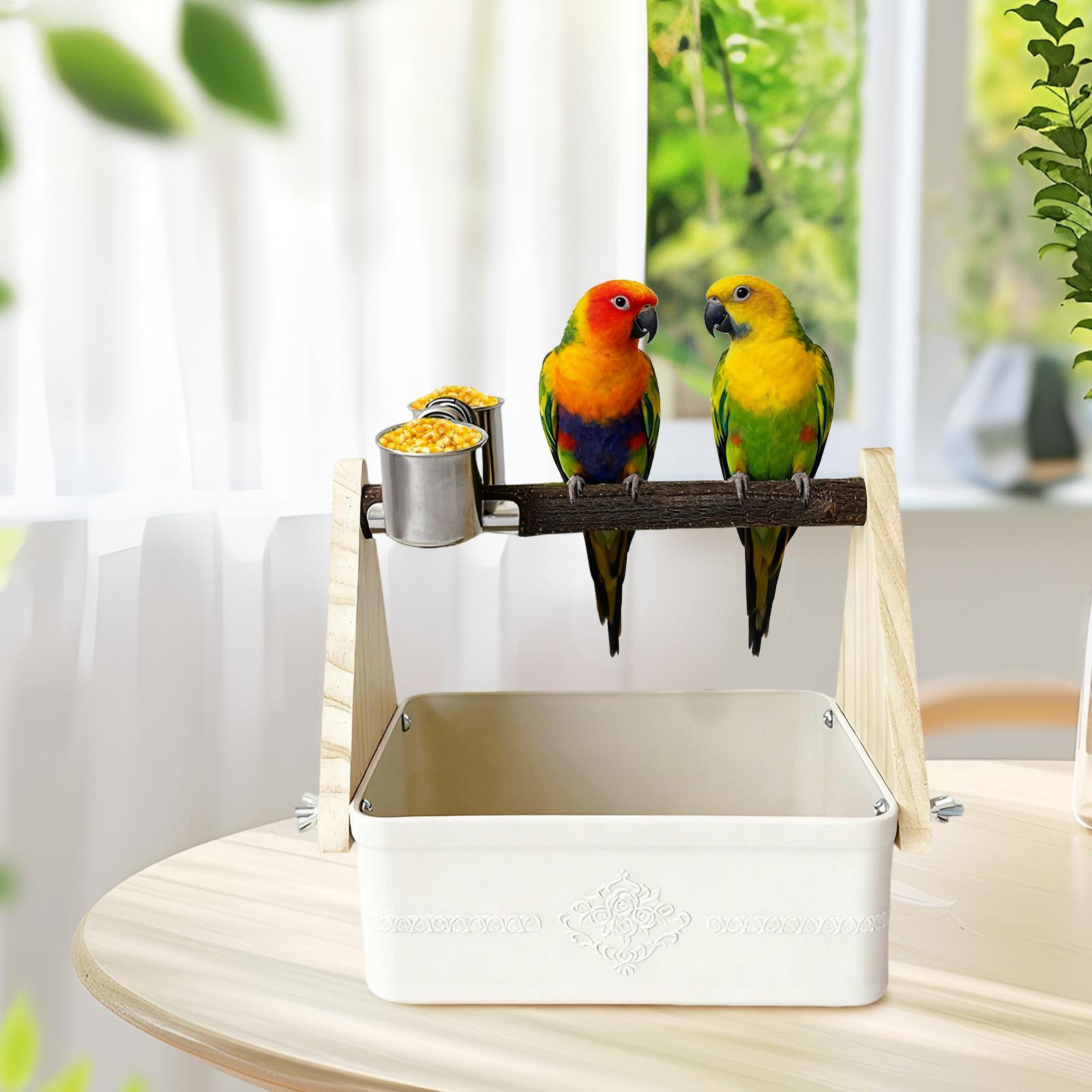 Bird Tabletop Perch Lovebirds  - Pet Supplies Zoo avis et prix