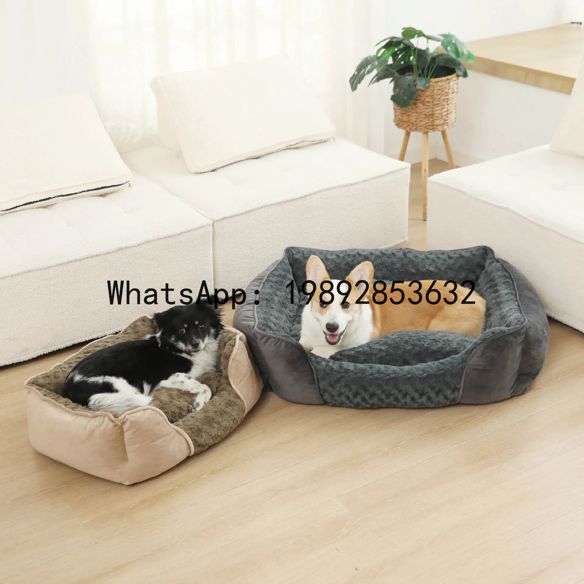 X cat house semi-enclosed dog  - Pet X Supplies & Tack Howell avis et prix