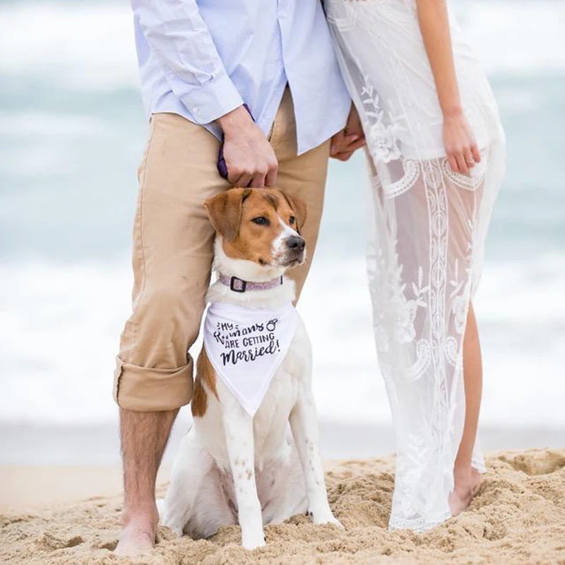 My Humans are Getting Married  - Dog Bandana Scarf avis et prix