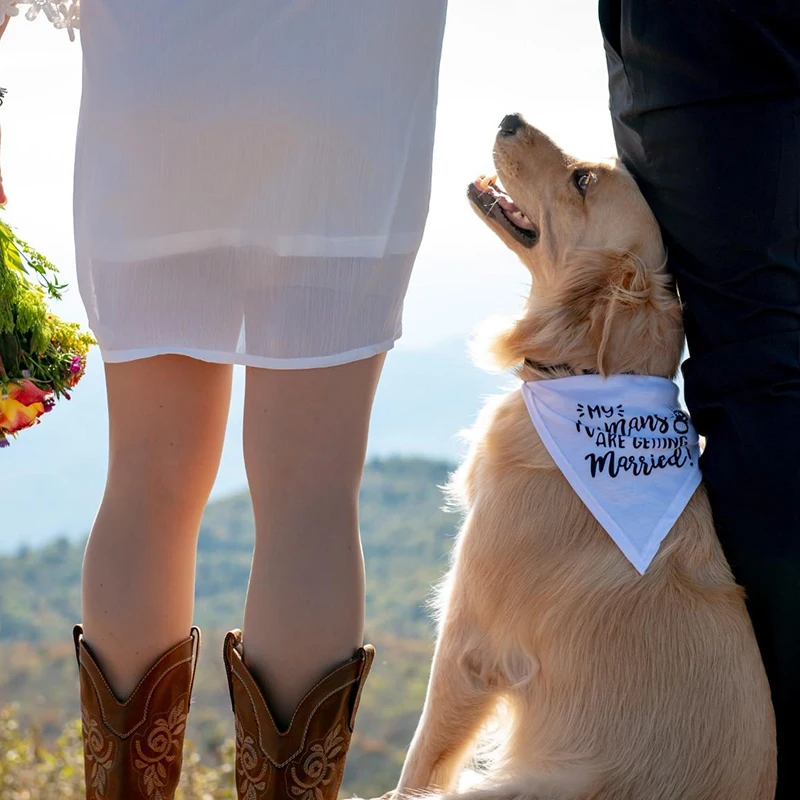 My Humans are Getting Married  - Dog Bandana Scarf avis et prix