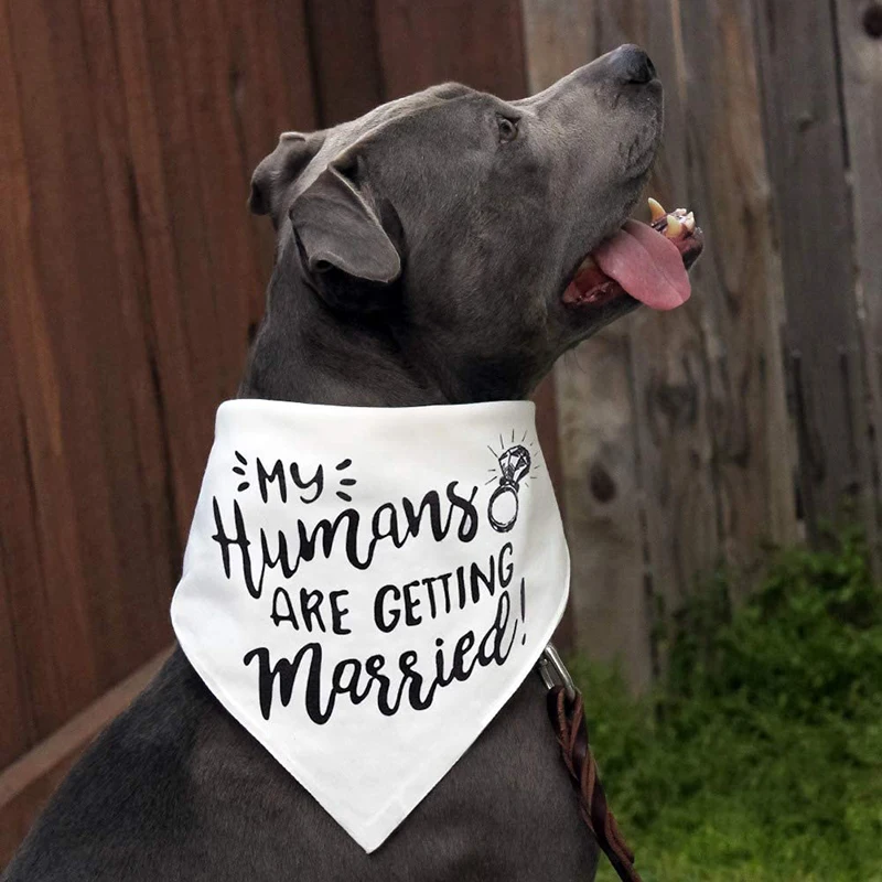 My Humans are Getting Married  - Dog Bandana Scarf avis et prix
