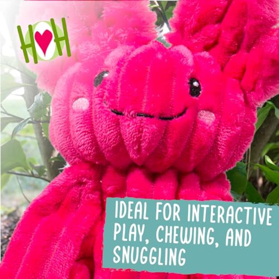 X-Brace Squeaky Dog Toy - Inte - Pet X Supplies & Tack Howell avis et prix
