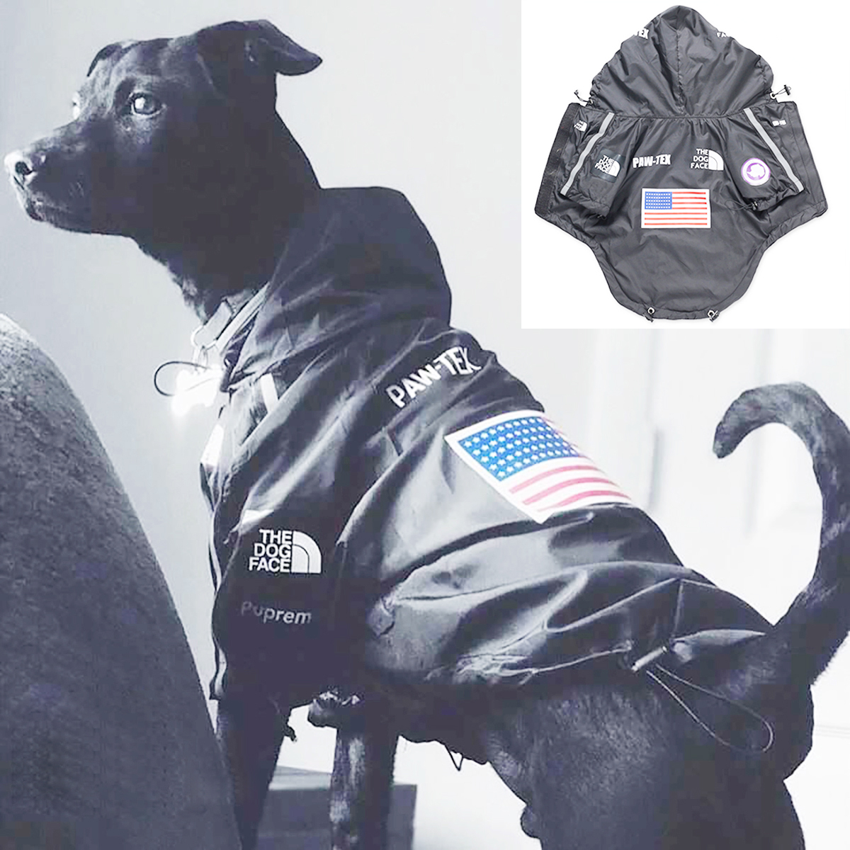 Pet Dog Waterproof Coat Dog Ra - Pet Supplies Coupon avis et prix
