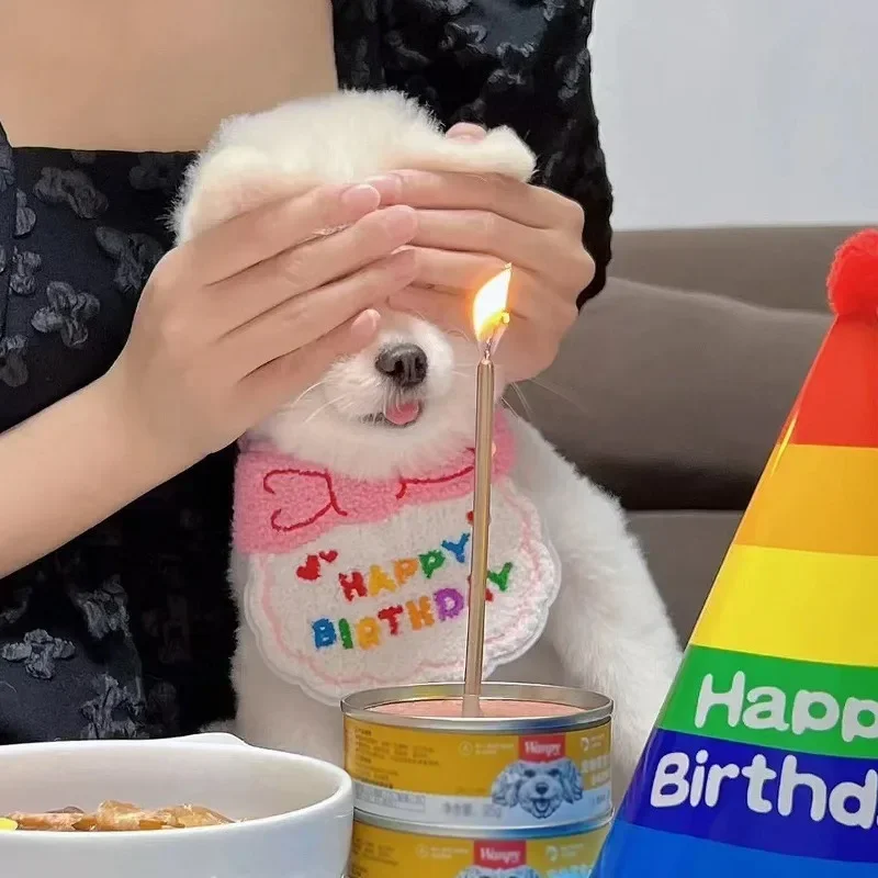 Cat Birthday Scarf Hat Set Dog - Pet Supplies Coupon avis et prix