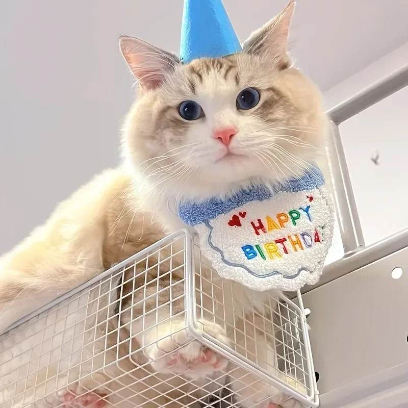 Cat Birthday Scarf Hat Set Dog - Pet Supplies Coupon avis et prix