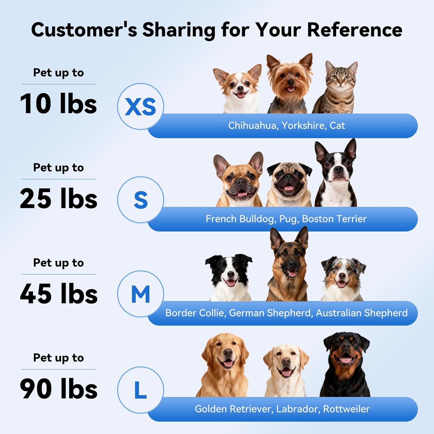 Pet Helmes Cats Dog Accessorie - Pet Supplies Coupon avis et prix